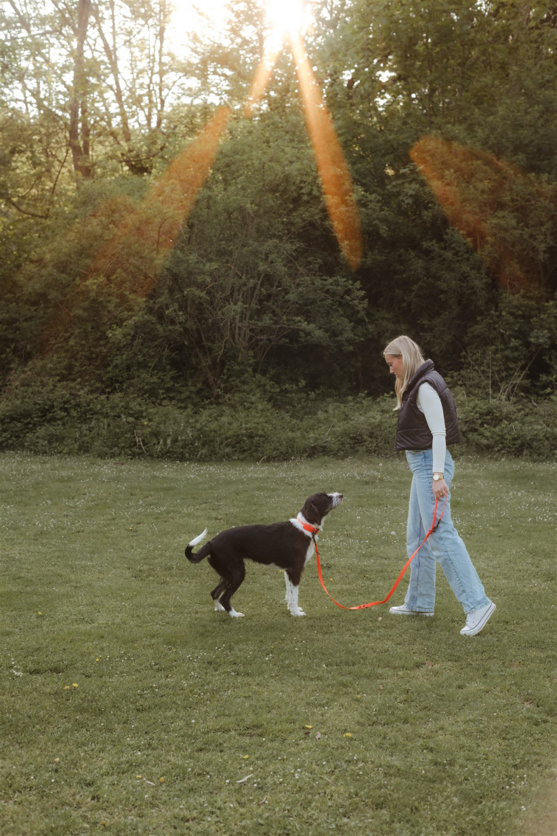 Workshop Orientierung