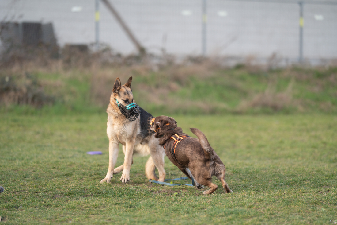 Private Sozialkontaktstunde